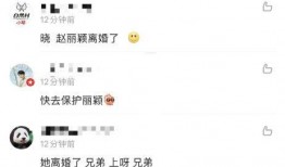 陈晓微博爆料最新消息,最新消息引发热议，揭秘娱乐圈幕后真相！