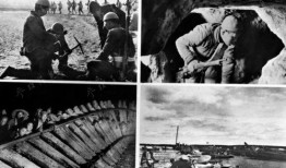 法国爆料美国战犯视频,法国视频揭露惊人真相